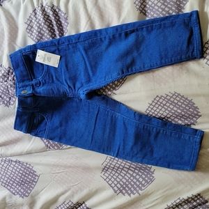Baby Gap Toddler Boy BlueCorduroy Pants